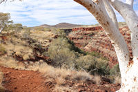 The Rim walk, Dales Gorge